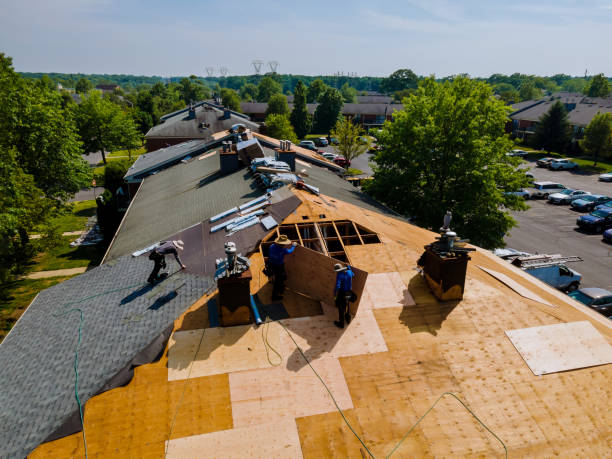 Trusted Storm Damage Roof Repair service in Everson, WA - Brentwood Metal Roofing